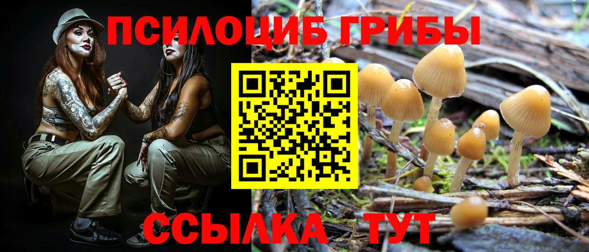 Галлюциногенные грибы ЛСД Гусев