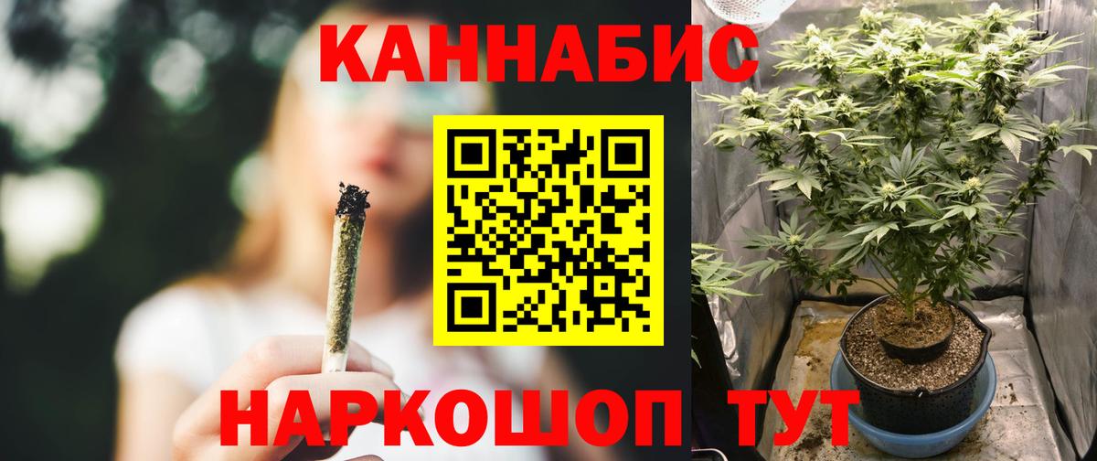 Гусев  Конопля конопля  Шишки марихуана план  Вход с VPN  Бошки Шишки Ganja 